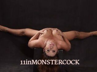 11inMONSTERCOCK