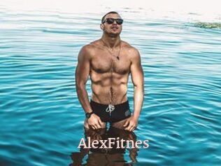 AlexFitnes