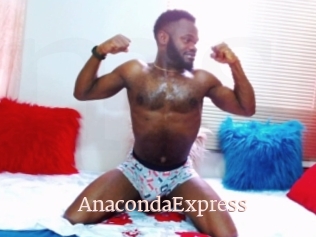 AnacondaExpress