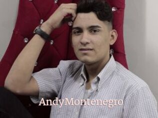 AndyMontenegro