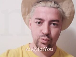 AndyforYou