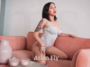 Asian_Fly