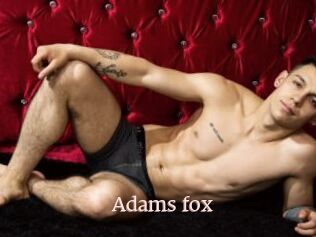 Adams_fox