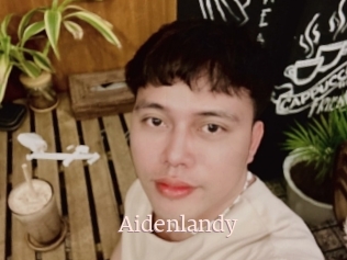 Aidenlandy