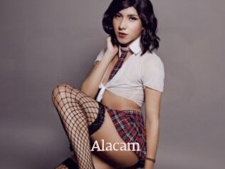 Alacam