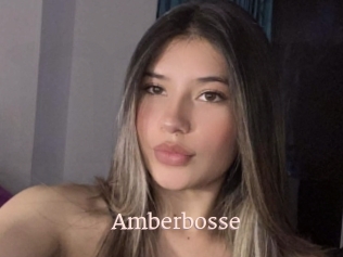 Amberbosse