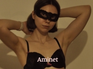 Aminet