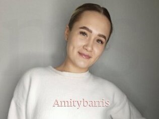 Amitybarris