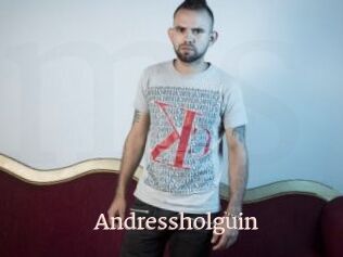 Andressholguin