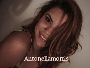 Antonellamorris