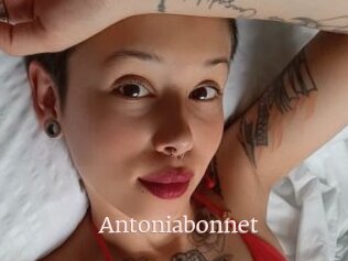 Antoniabonnet