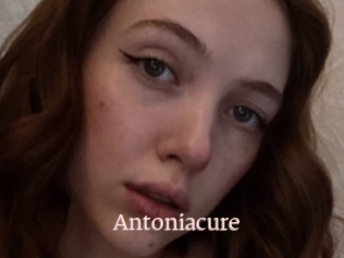 Antoniacure