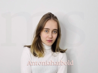Antoniaharbold