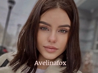 Avelinafox