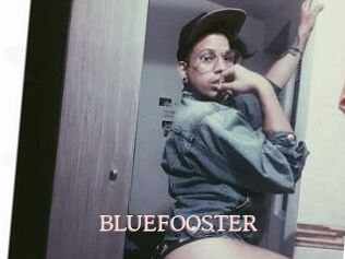 BLUEFOOSTER