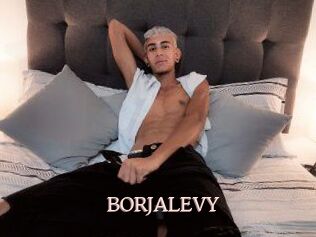 BORJALEVY