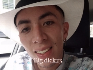 Big_dick23