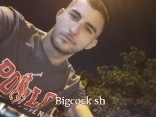 Bigcock_sh