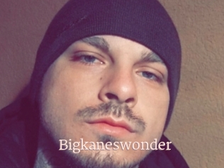 Bigkaneswonder