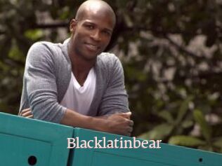 Blacklatinbear