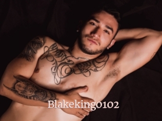 Blakeking0102