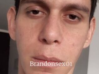 Brandonsex01