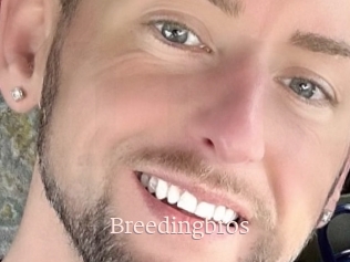 breedingbros Mon Sexe