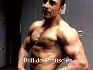 Bull_dosemuscles