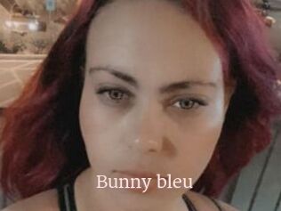 Bunny_bleu