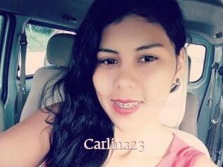 Carlina23