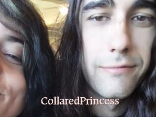 CollaredPrincess Mon Sexe