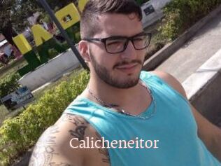 Calicheneitor