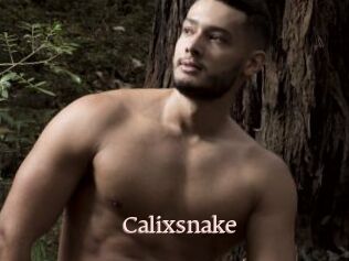 Calixsnake