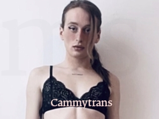 Cammytrans