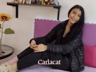 Carlacat