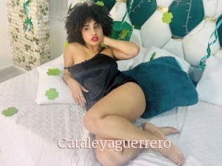 Cataleyaguerrero