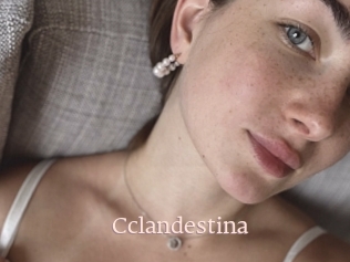 Cclandestina