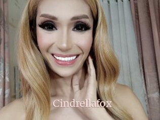 Cindrellafox