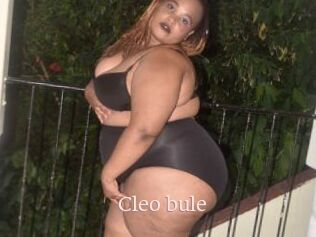 Cleo_bule