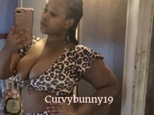 Curvybunny19