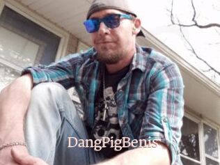 DangPigBenis