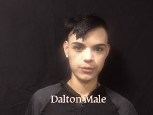 Dalton_Male