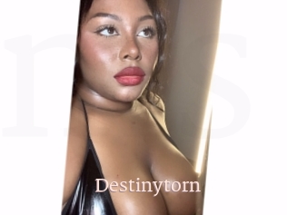 Destinytorn