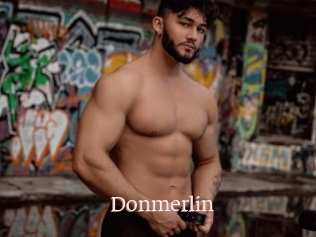 Donmerlin