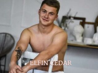 ELFIN_CEDAR