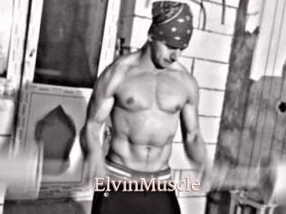 ElvinMuscle