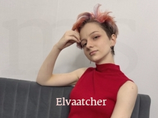 Elvaatcher