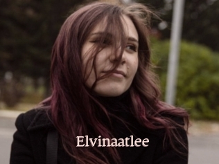 Elvinaatlee