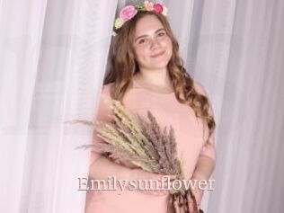 Emilysunflower