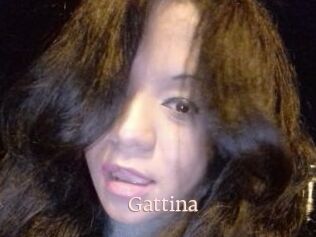 Gattina